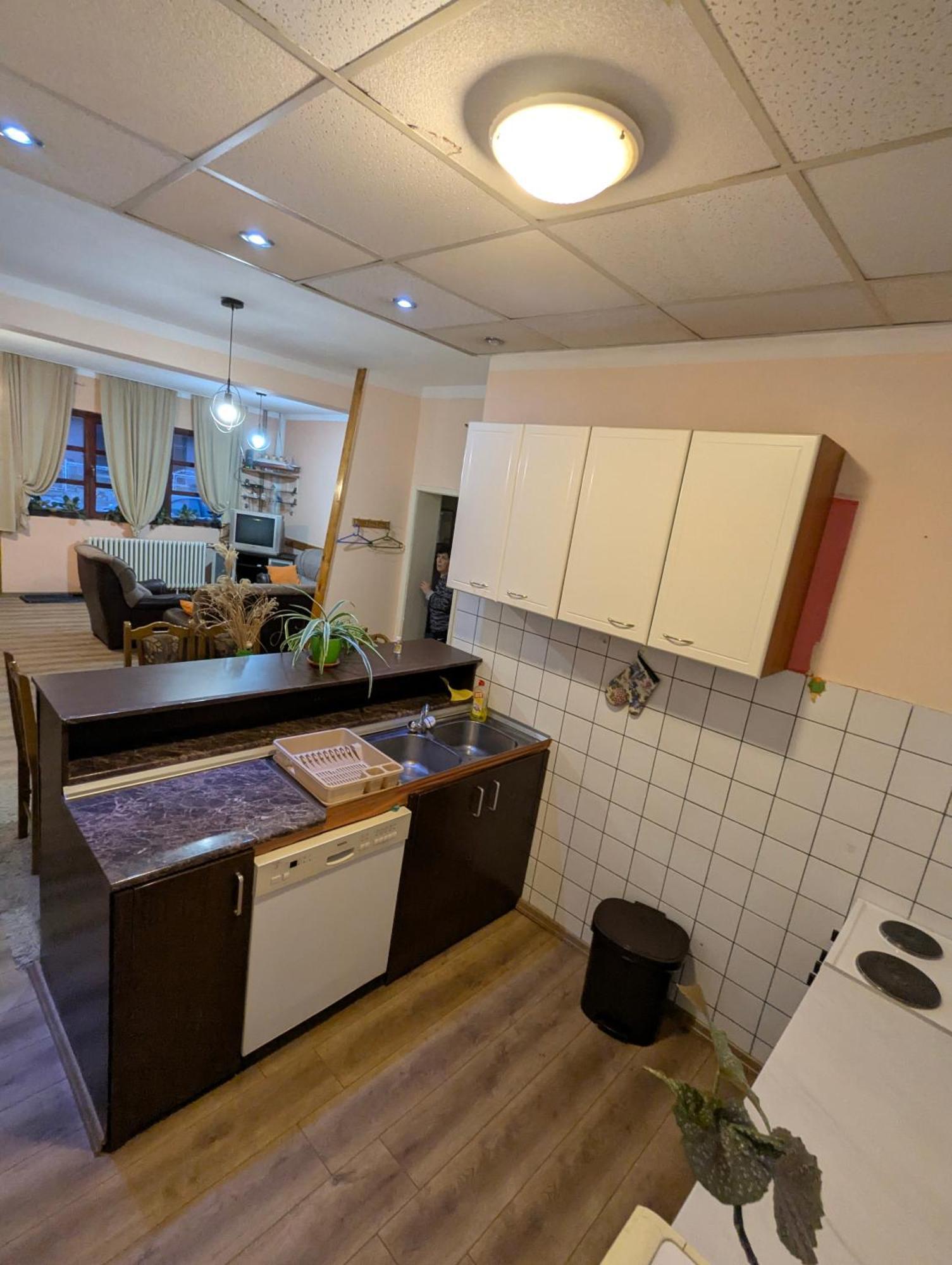 Apartman Dunja I Milos Mokra Gora Eksteriør billede